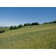 Search_OLD FARMHOUSE WITH SEA VIEW FOR SALE IN LE MARCHE Country house to restore with panoramic view in central Italy in Le Marche_27